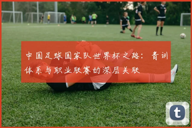 中国足球国家队世界杯之路：青训体系与职业联赛的深层关联