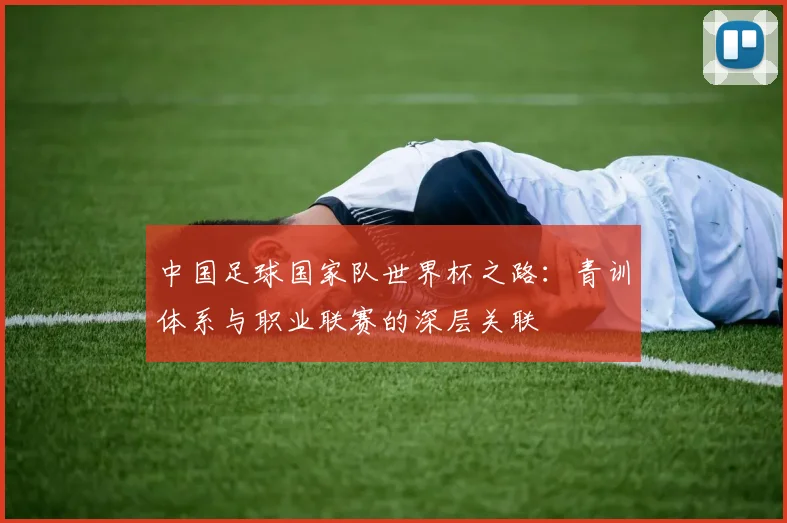 中国足球国家队世界杯之路：青训体系与职业联赛的深层关联