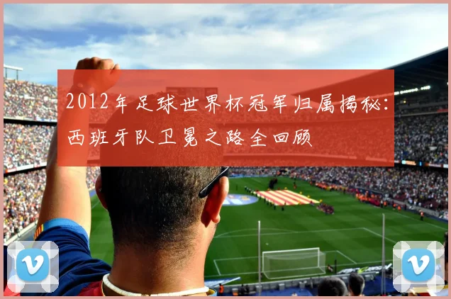 2012年足球世界杯冠军归属揭秘：西班牙队卫冕之路全回顾