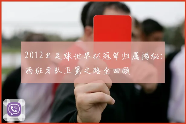 2012年足球世界杯冠军归属揭秘：西班牙队卫冕之路全回顾
