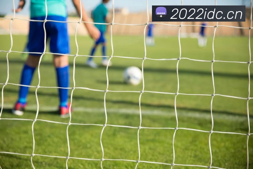 爱游戏 游戏门户网站服务体系